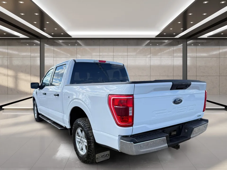 Ford F-150 2023 photo 4