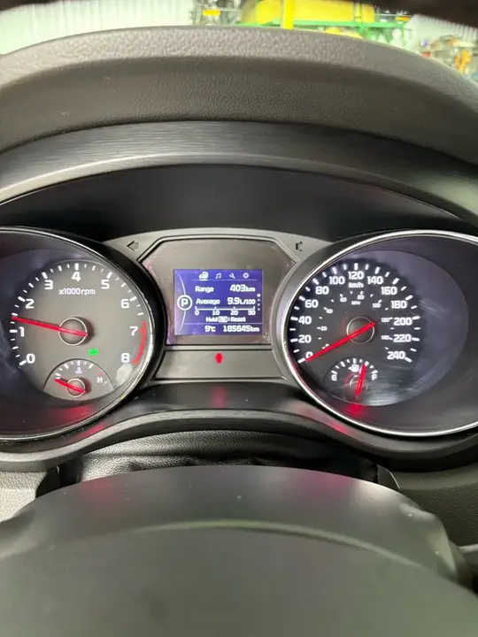 Kia Sedona 2018 photo 4