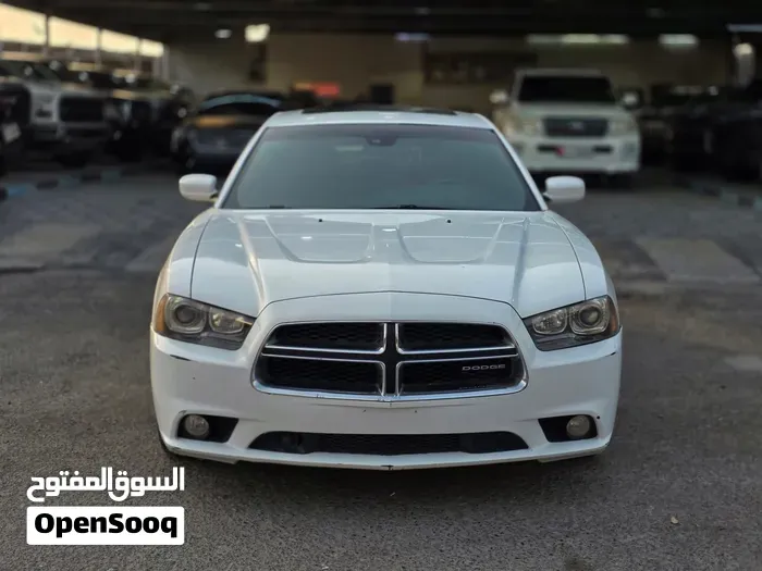 Dodge Charger 2014 photo 3