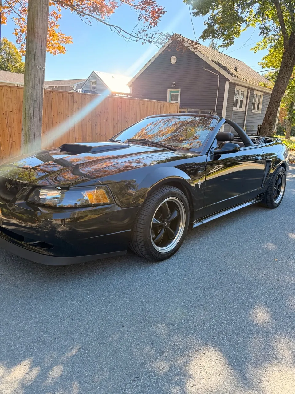 Ford Mustang 2002 photo 3