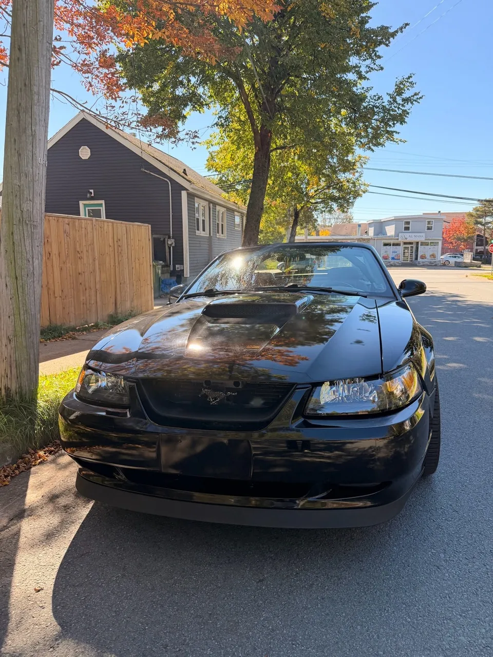 Ford Mustang 2002 photo 2