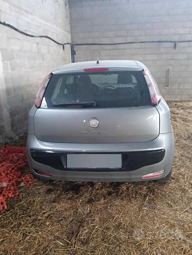 Fiat Punto Evo