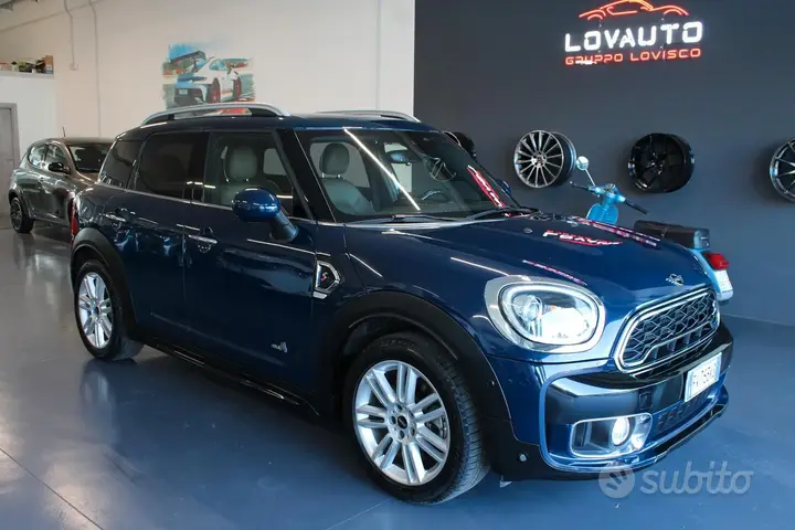 Mini Mini Countryman
