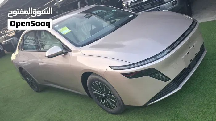 Nissan N6 Max 2026 photo 3