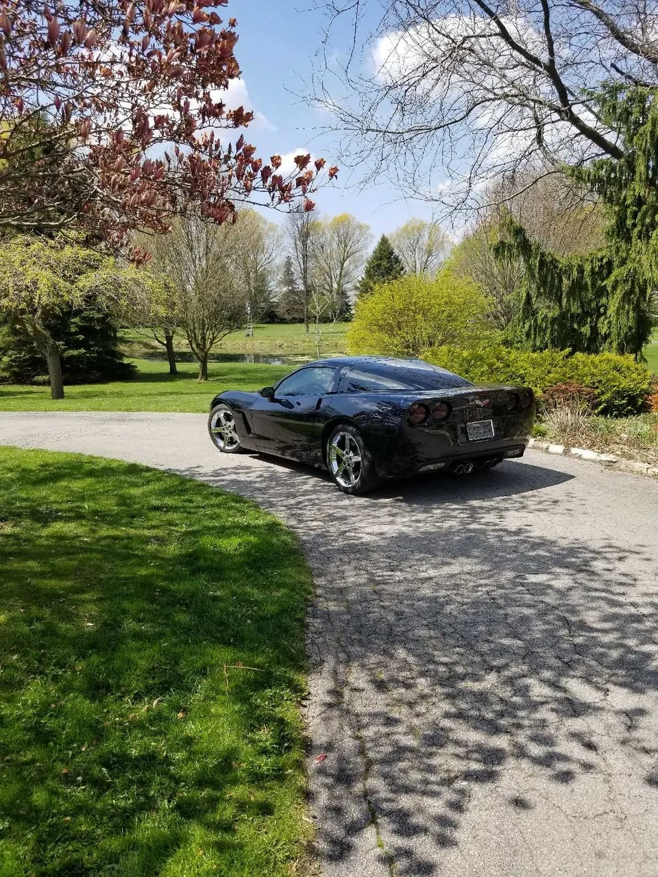 Chevrolet Corvette 2008 photo 2