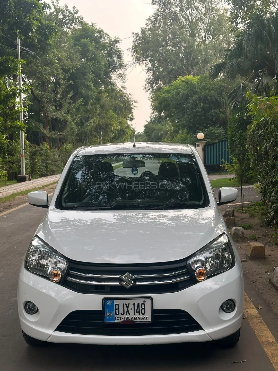 Suzuki Cultus