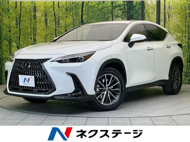Lexus Nx 250