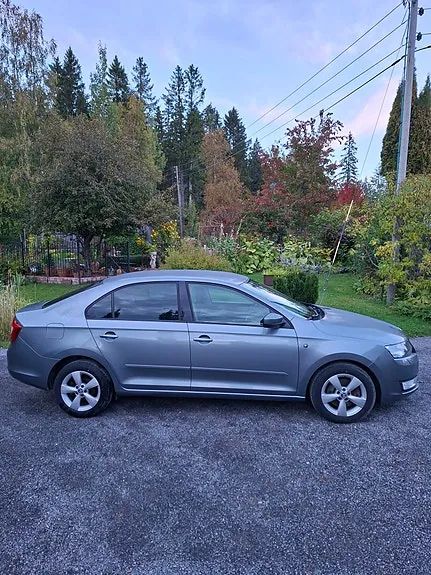 Skoda Rapid 2013 photo 4