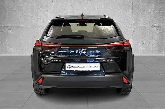 Lexus Ux300E 2021 photo 4