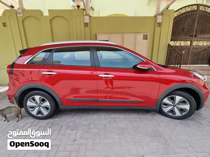 Kia Niro 2020 photo 3