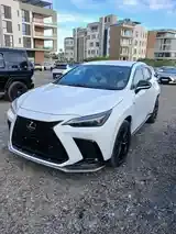 Lexus Nx 2024 photo 2