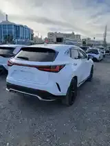 Lexus Nx 2024 photo 5