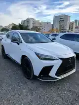 Lexus Nx 2024 photo 3