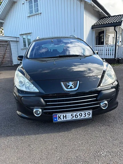 Peugeot 307 Sw 2008 photo 3