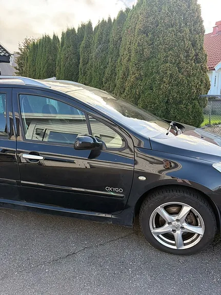 Peugeot 307 Sw 2008 photo 2