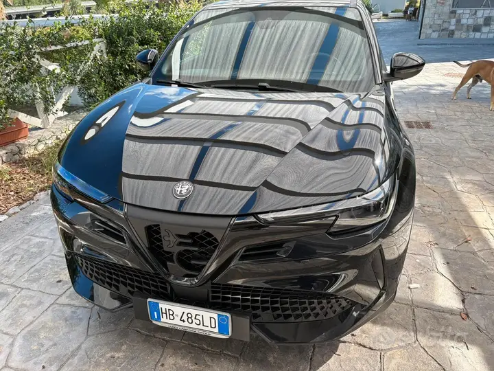 Alfa Romeo Junior