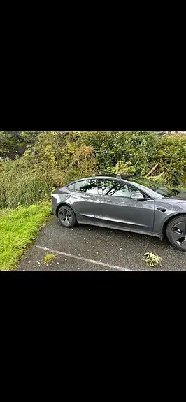 Tesla Model 3 2023 photo 4