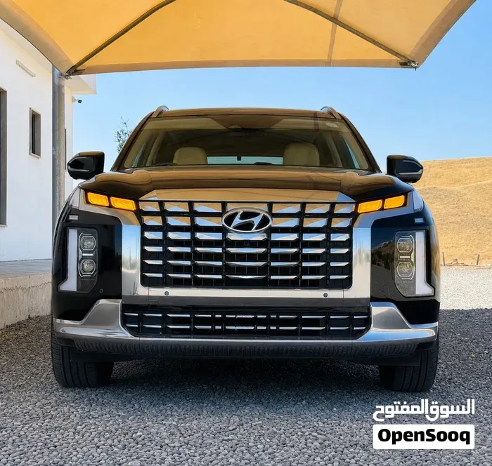 Hyundai Palisade 2023 photo 5