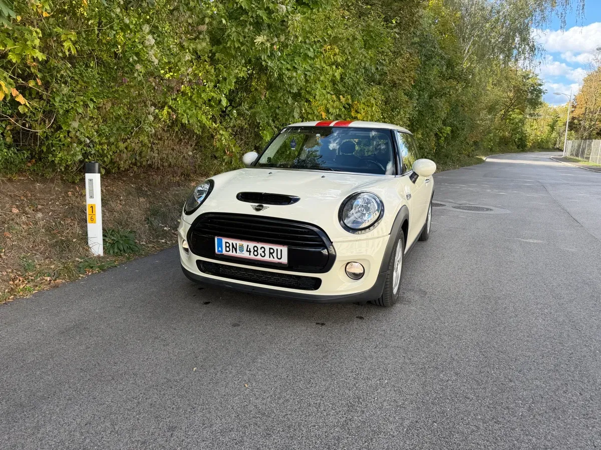 Mini Mini One