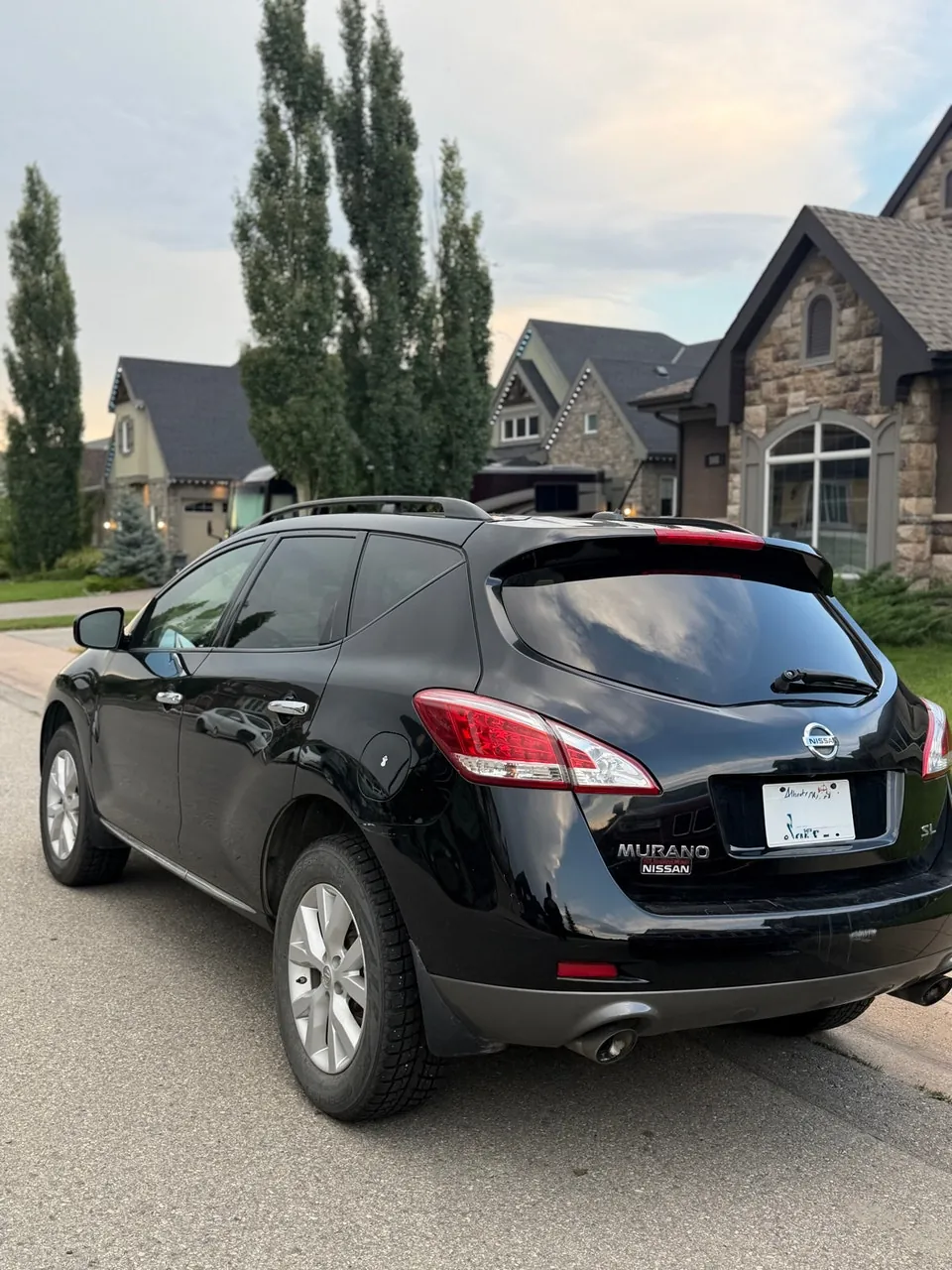 Nissan Murano 2014 photo 4
