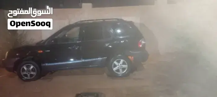 Hyundai Grand Santa Fe 2002 photo 3