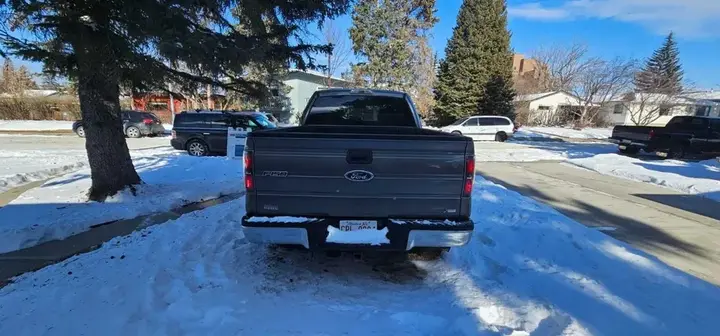 Ford F-150 2010 photo 3