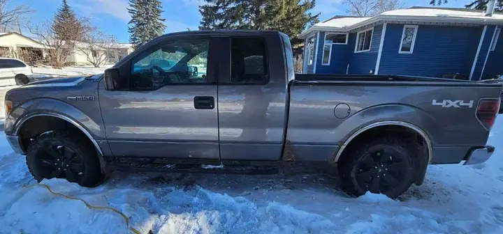 Ford F-150 2010 photo 2