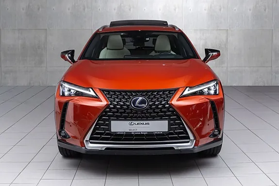 Lexus Ux300E 2022 photo 4