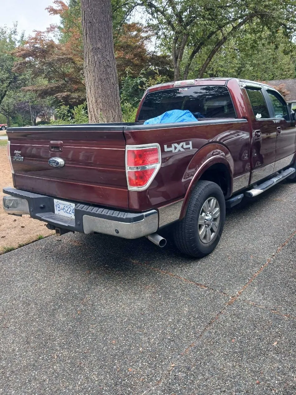 Ford F-150 2009 photo 2
