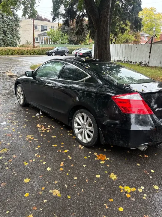 Honda Accord 2010 photo 5