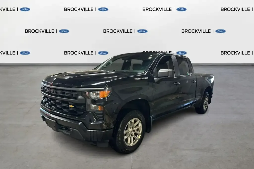 Chevrolet Silverado 1500 2022 photo 3