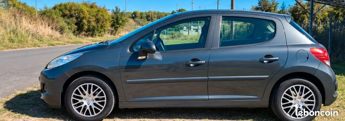 Peugeot 207 2010 photo 5