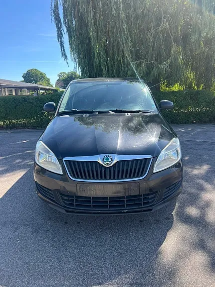 Skoda Fabia 2010 photo 2
