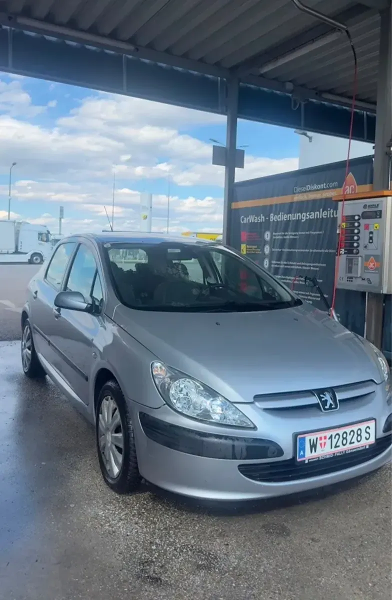 Peugeot 307 2001 photo 3