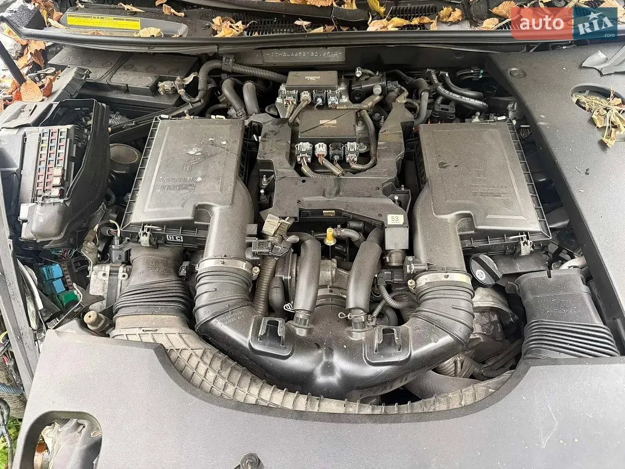 Lexus Ls 2007 photo 3