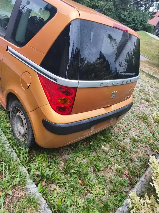 Peugeot 1007 2004 photo 2
