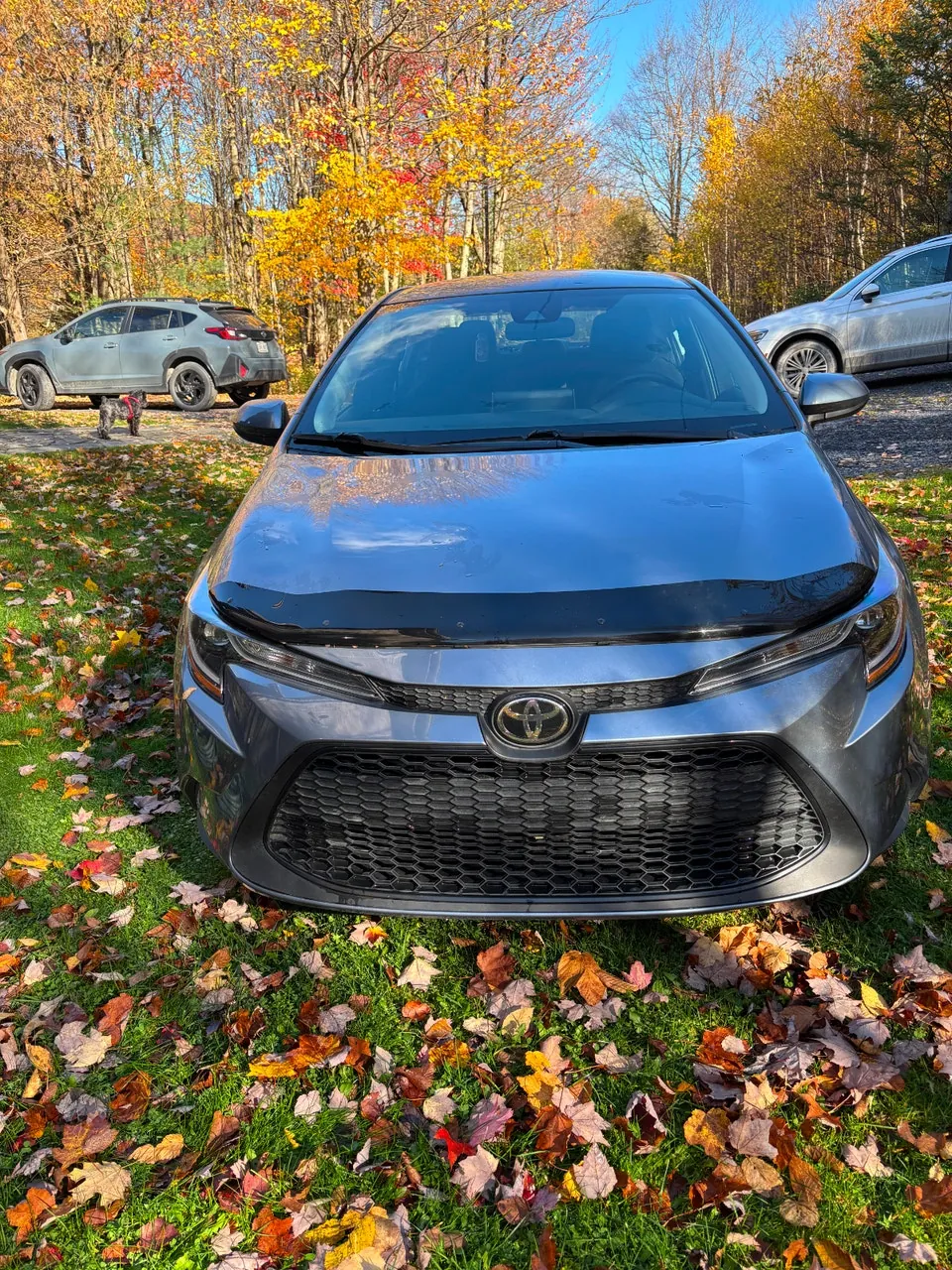 Toyota Corolla 2020 photo 3