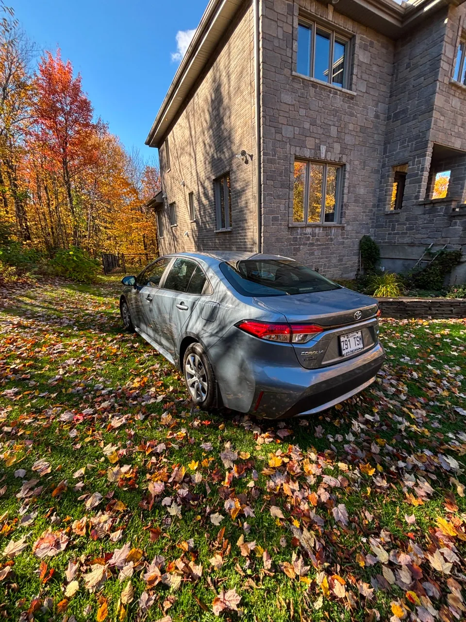 Toyota Corolla 2020 photo 2