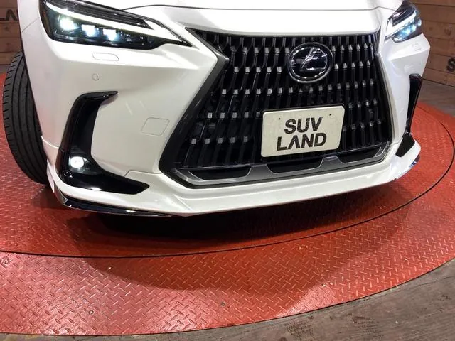 Lexus Nx250 2023 photo 4