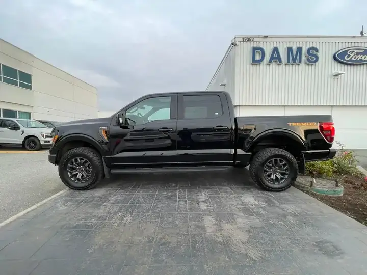 Ford F-150 2025 photo 2
