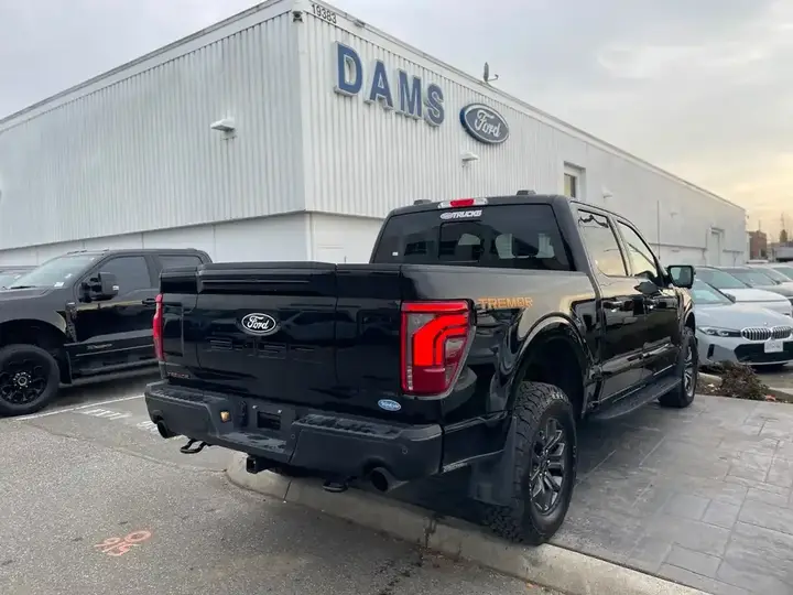 Ford F-150 2025 photo 3