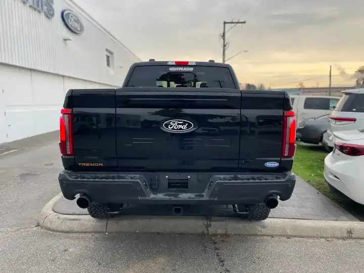 Ford F-150 2025 photo 4