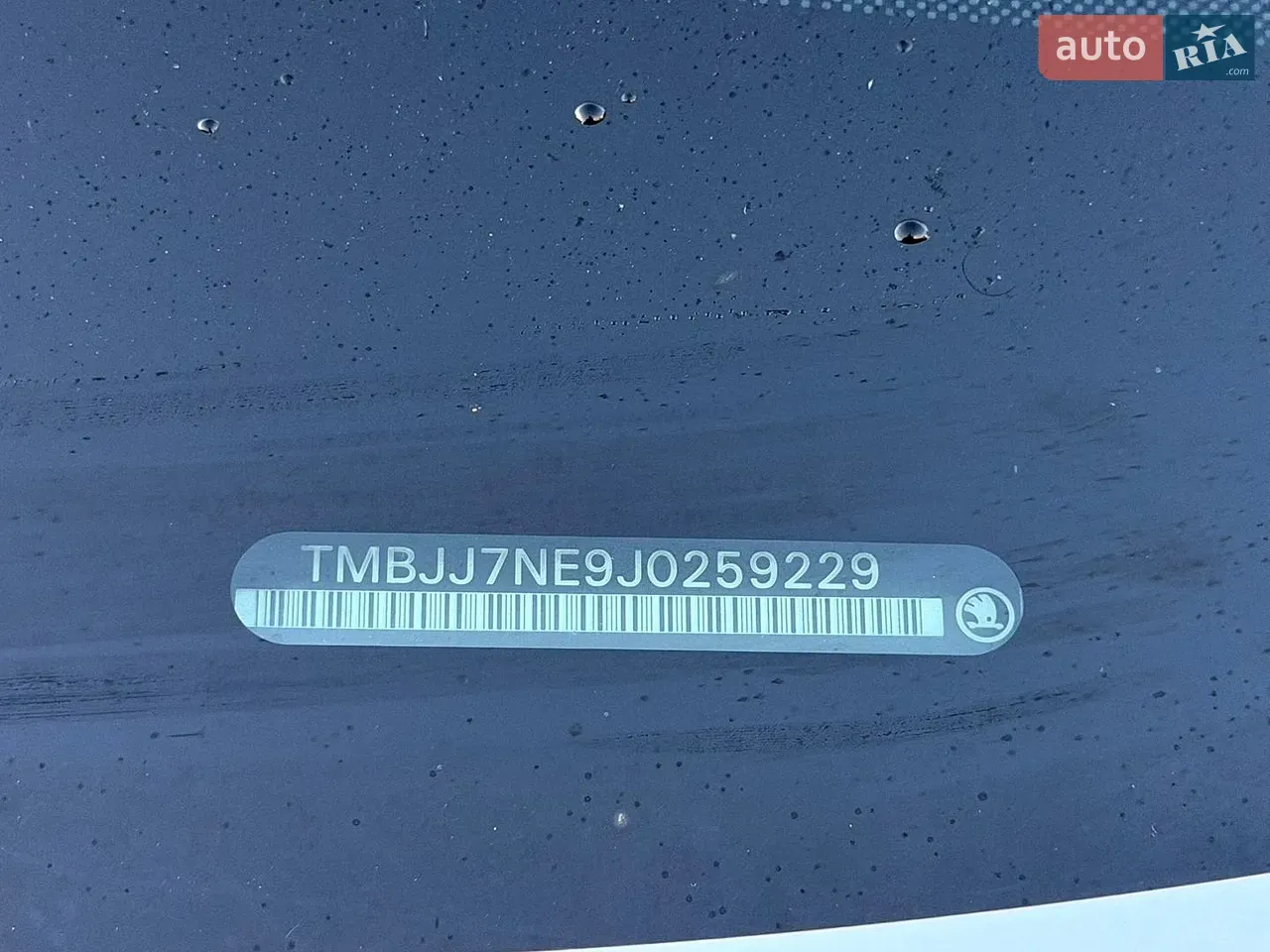 Skoda Octavia 2019 photo 5