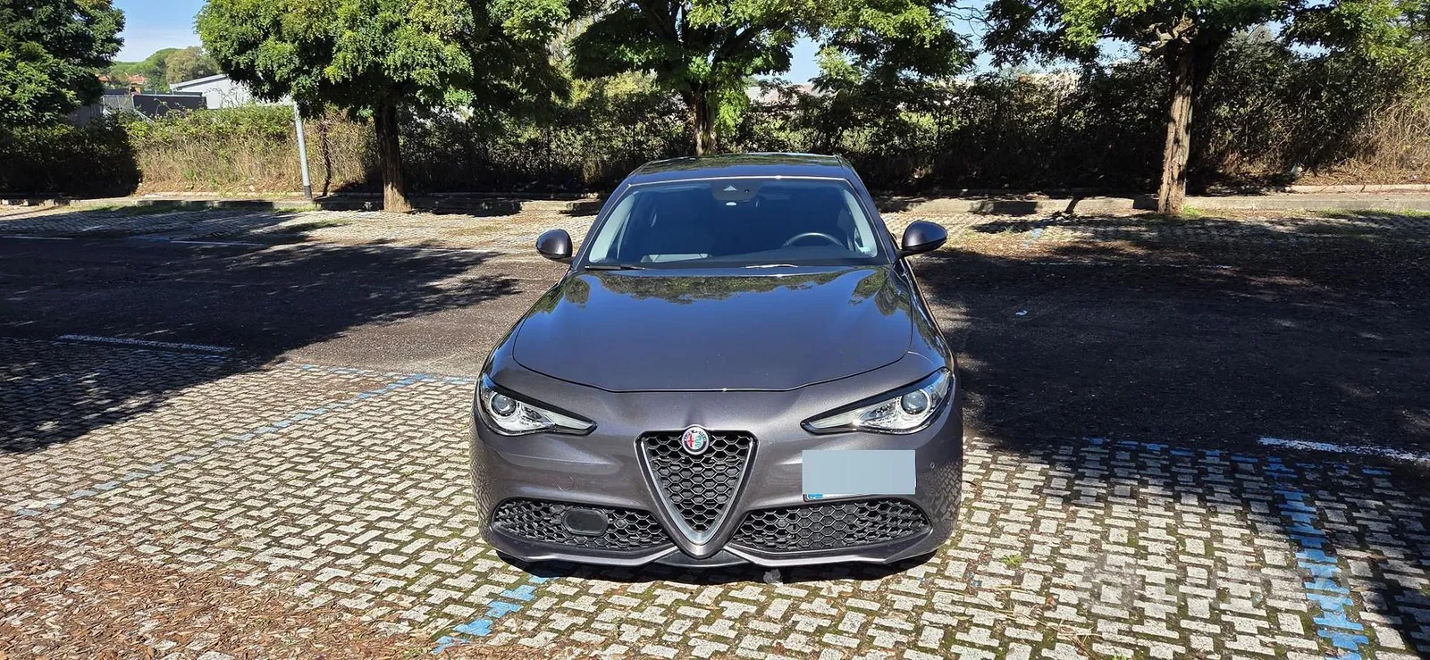Alfa Romeo Giulia 2019 photo 3