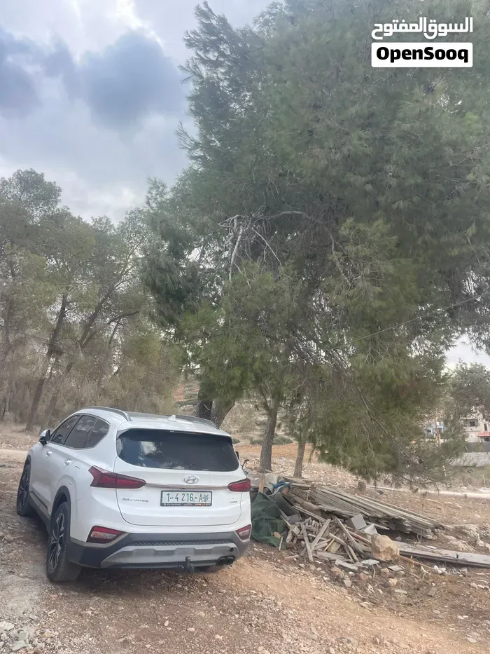Hyundai Santa Fe 2018 photo 3