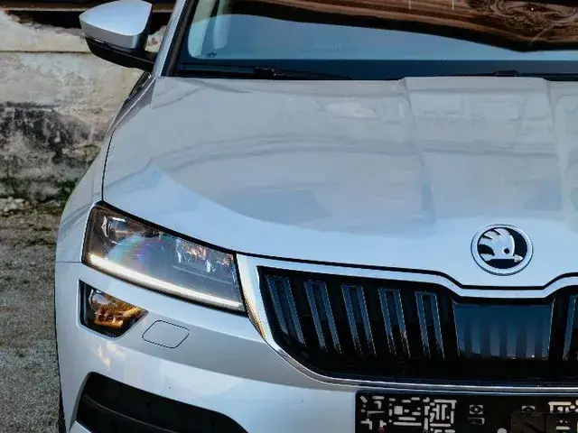 Skoda Karoq 2021 photo 3