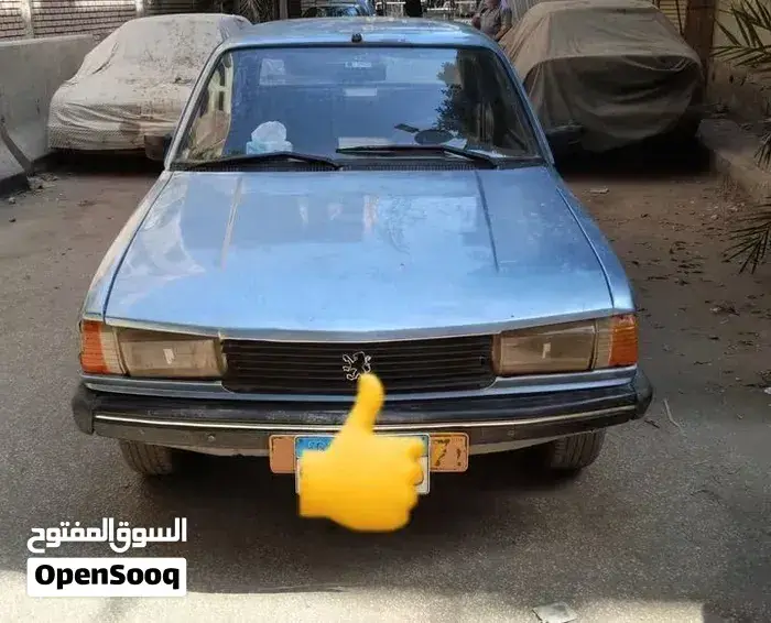 Peugeot 305