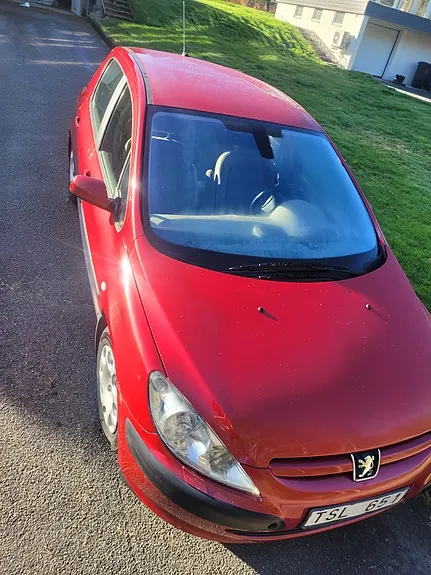 Peugeot 307 2003 photo 2