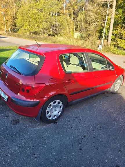 Peugeot 307 2003 photo 3
