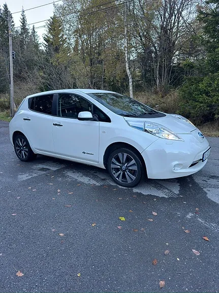 Nissan Leaf 2014 photo 2